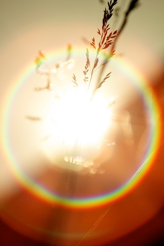Illustration for article titled Shooting Challenge: Lens Flare Gallery Part One